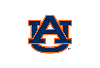 Image for choice number 4